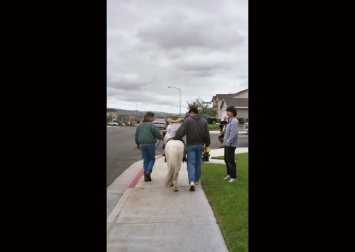 Emma Riding Pony 2