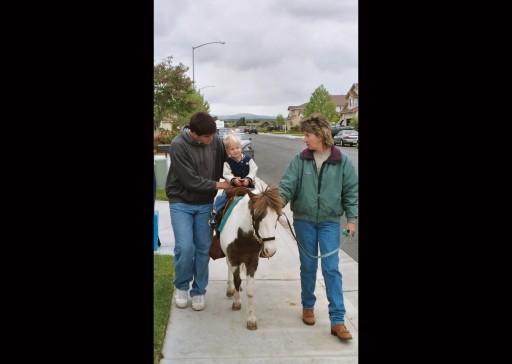 Atticus Riding Pony