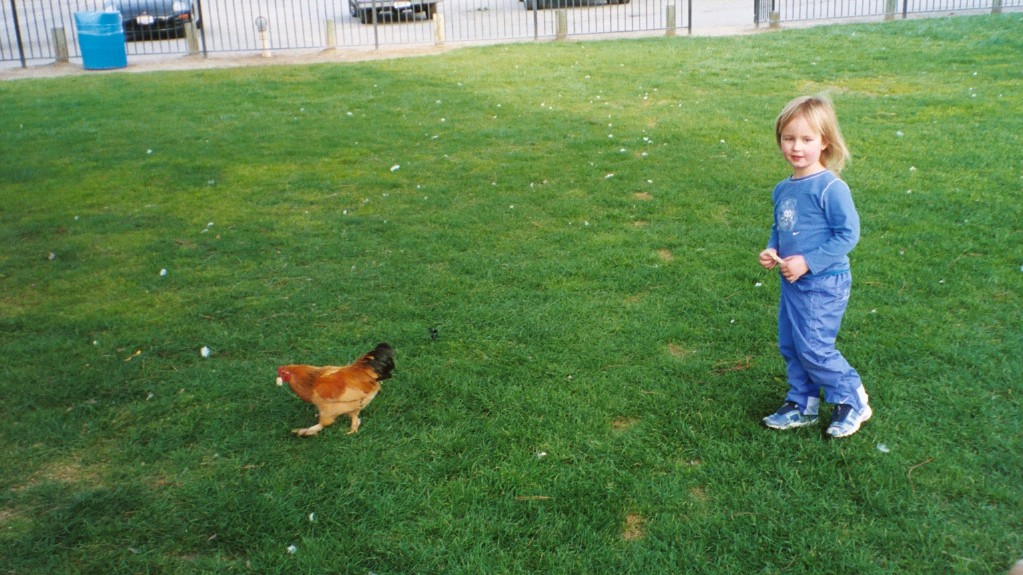 Emma Chasing a Hen Near Turlock, CA