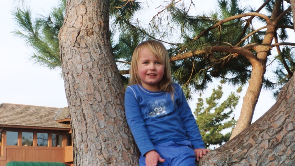 Emma in Tree Near Turlock, CA 1