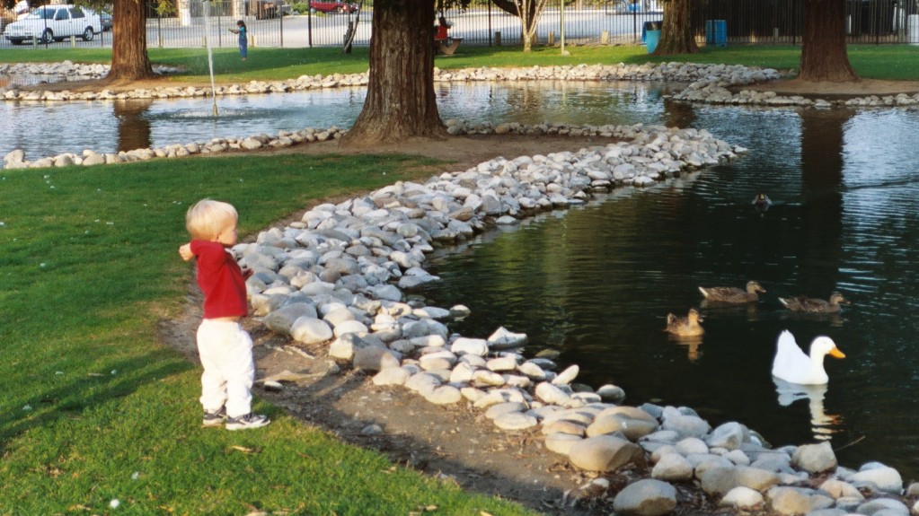 Atticus Feeding the Ducks Near Turlock, CA