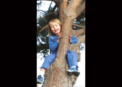 Emma in Tree Near Turlock, CA 3